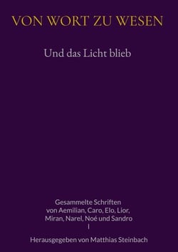 Und das Licht blieb - Gesammelte Schriften von Aemilian, Caro, Elo, Lior, Miran, Narel, Noe und Sandro