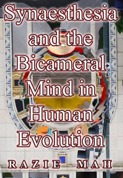 Synaesthesia and the Bicameral Mind in Human Evolution - Buttressing the Human Niche