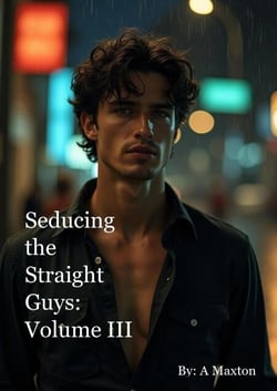 Seducing the Straight Guys: Volume 3 - Seducing the Straight Guys, #300