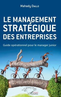 Le management stratégique des entreprises - Guide opérationnel pour le manager junior