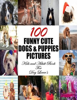 100 Funny Cute Dogs &amp; Puppies Pictures