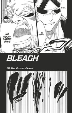 Bleach - T27 - Chapitre 235 - The Frozen Clutch