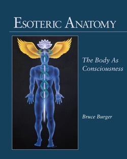 Esoteric Anatomy - The Body as Consciousness