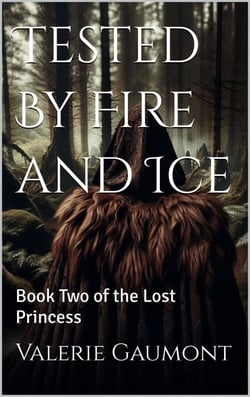 Tested by Fire and Ice - The Lost Princess, #2