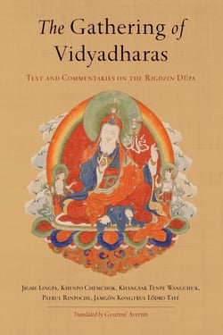 The Gathering of Vidyadharas - Text and Commentaries on the Rigdzin Düpa