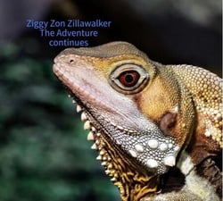 Ziggy Zon Zillawalker The Adventure Continues - Zillawalker adventure, #2
