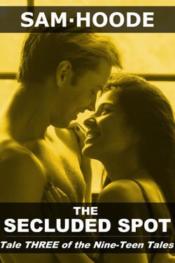 The Secluded Spot - Nine-Teen Tales, #3
