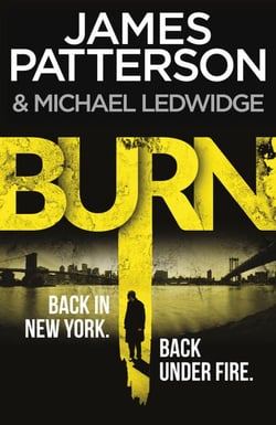 Burn - (Michael Bennett 7). Unbelievable reports of a murderous cult become terrifyingly real