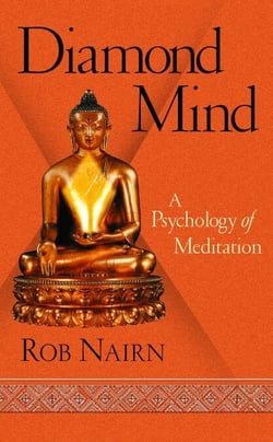 Diamond Mind - A Psychology of Meditation