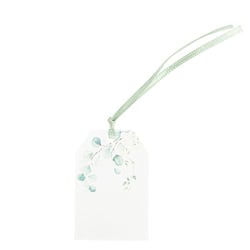 10 Étiquettes Sauge Green Blanc, Vert Sauge 6 x 4 cm + Ruban Satin Vert Sauge