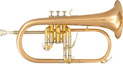 SML Paris - Bugle Sib verni