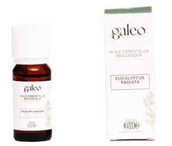 Huile essentielle biologique eucalyptus radiata 10 ml