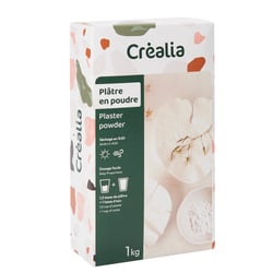 Plâtre en poudre pour moulage - 1 kg - Créalia