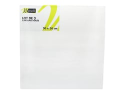 Lot de 3 Cartons toilés blancs - 30 x 30 cm - Monali