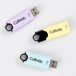 Lot de 3 clés USB 2.0 - rétractables - 16 Go - Cultura - Clé USB - Disques  dur et périphériques de stockage - Matériel Informatique High Tech
