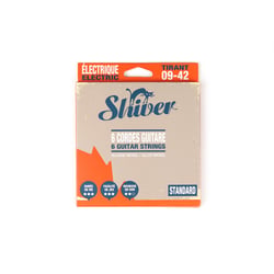 6 cordes de guitare électrique Standard - Tirant 09-42 - Shiver