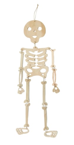 Squelette géant articulé - Bois - 80 cm - Créalia Enfant