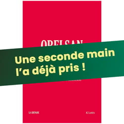 La Grande Reprise de Ben Névert - Orelsan : dictionnaire critique