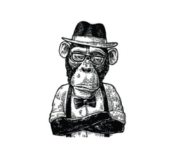 Écusson transfert thermo-adhésif -  Petit modèle - Singe avec chapeau