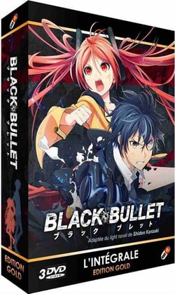 Coffret intégrale black bullet