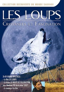 Les Loups - Croyances et fascination