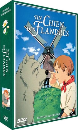 Un chien des Flandres
