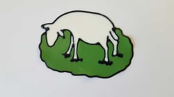 Vitrophanie le mouton