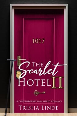 Room 1017 - The Scarlet Hotel, #14