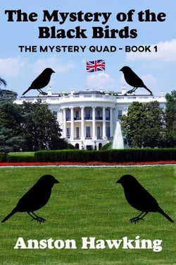 The Mystery of the Black Birds - The Mystery Quad