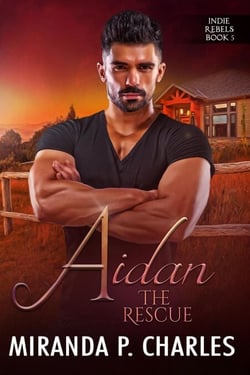 Aidan: The Rescue - Indie Rebels, #5