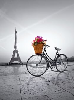 Puzzle 500 pièces - Promenade romantique à Paris