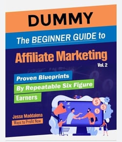 The Beginner Guide to Affiliate Marketing Volume 2 - Proven Blueprints by Repeatable Six Figure Earners, #2