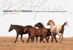 Among Wild Horses - A Portrait of the Pryor Mountain Mustangs