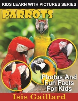 Parrots Photos and Fun Facts for Kids - Kids Learn With Pictures, #63