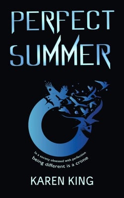 Perfect Summer - A truly eye-opening, captivating summer read