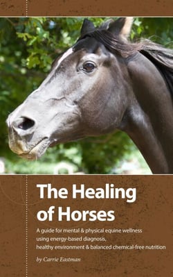 The Healing of Horses: A Guide for Mental &amp; Physical Equine Wellness using Energy-Based Diagnosis