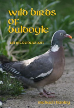 Wild Birds of Baldoyle - An Introduction
