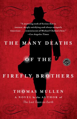 The Many Deaths of the Firefly Brothers - A Novel