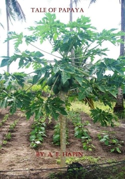 Tale of Papaya