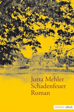Schadenfeuer - Roman