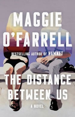 The Distance Between Us - A Novel