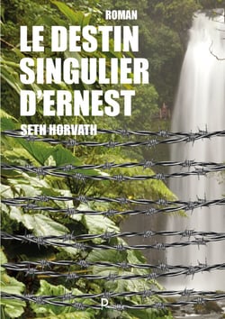 Le destin singulier d'Ernest - Roman