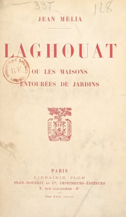 Laghouat - Ou Les maisons entourées de jardins