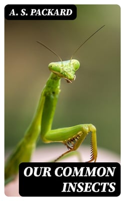 Our Common Insects - A Popular Account of the Insects of Our Fields, Forests, Gardens and Houses