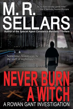 Never Burn A Witch: A Rowan Gant Investigation - The Rowan Gant Investigations, #2