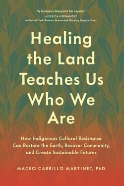 Healing the Land Teaches Us Who We Are - How Indigenous Cultural Resistance Can Restore the Earth, Recover Community, and Create Sustainable Futures