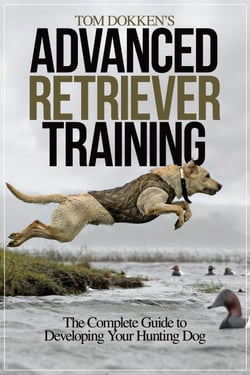 Tom Dokken's Advanced Retriever Training - The Complete Guide to Developing Your Hunting Dog