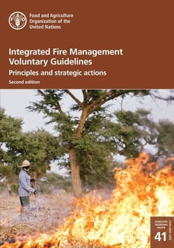 Integrated Fire Management Voluntary Guidelines: Principles and Strategic Actions. Second Edition