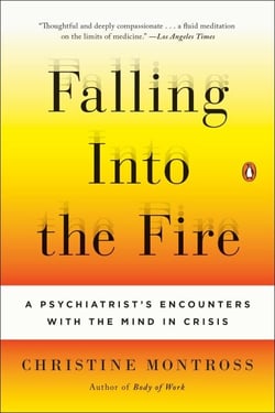 Falling Into the Fire - A Psychiatrist's Encounters with the Mind in Crisis