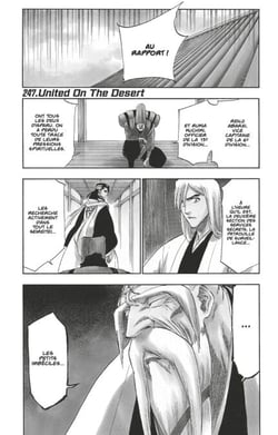 Bleach - T28 - Chapitre 247 - United On The Desert